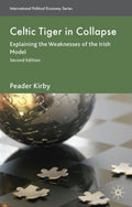 International Political Economy Series