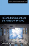 Critical Criminological Perspectives