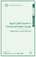 Procyclicality of Financial Systems in Asia