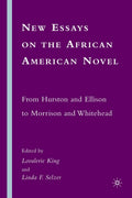 New Essays on the African American Novel