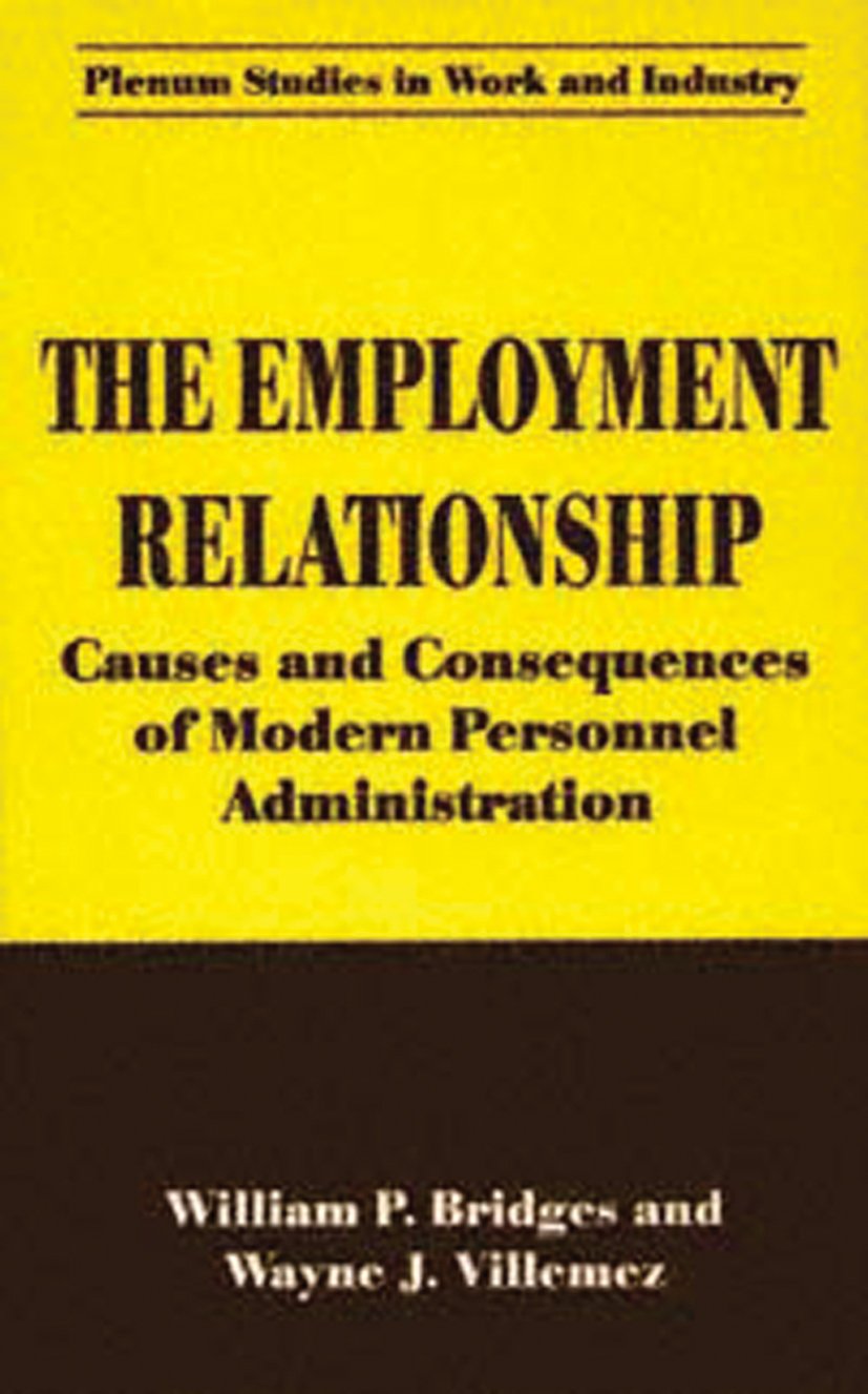 Springer Studies in Work and Industry