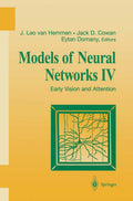 Models of Neural Networks IV