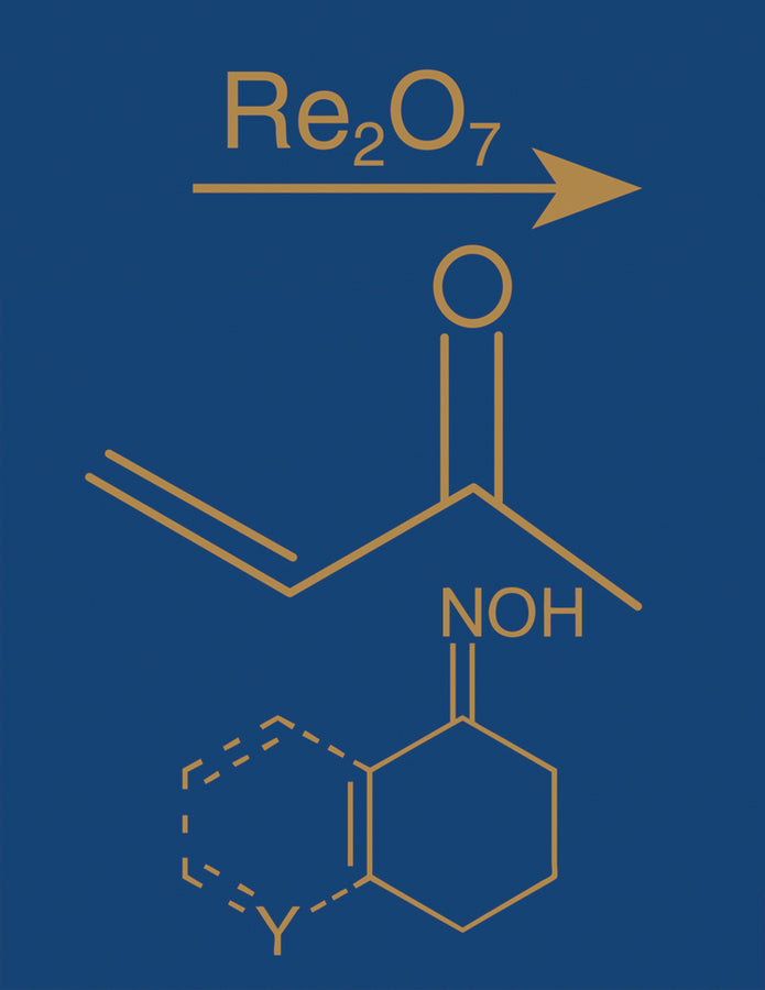 Comprehensive Organic Name Reactions and Reagents, 3 Volume Set