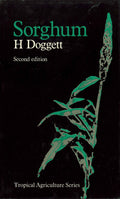 Sorghum