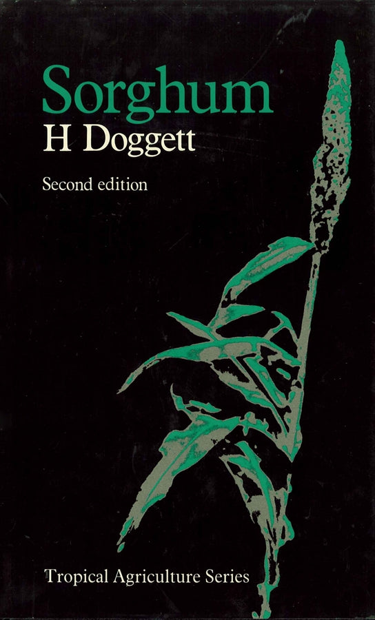 Sorghum