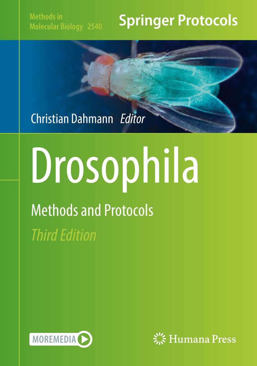Drosophila