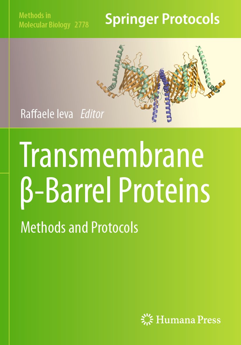 Transmembrane β-Barrel Proteins