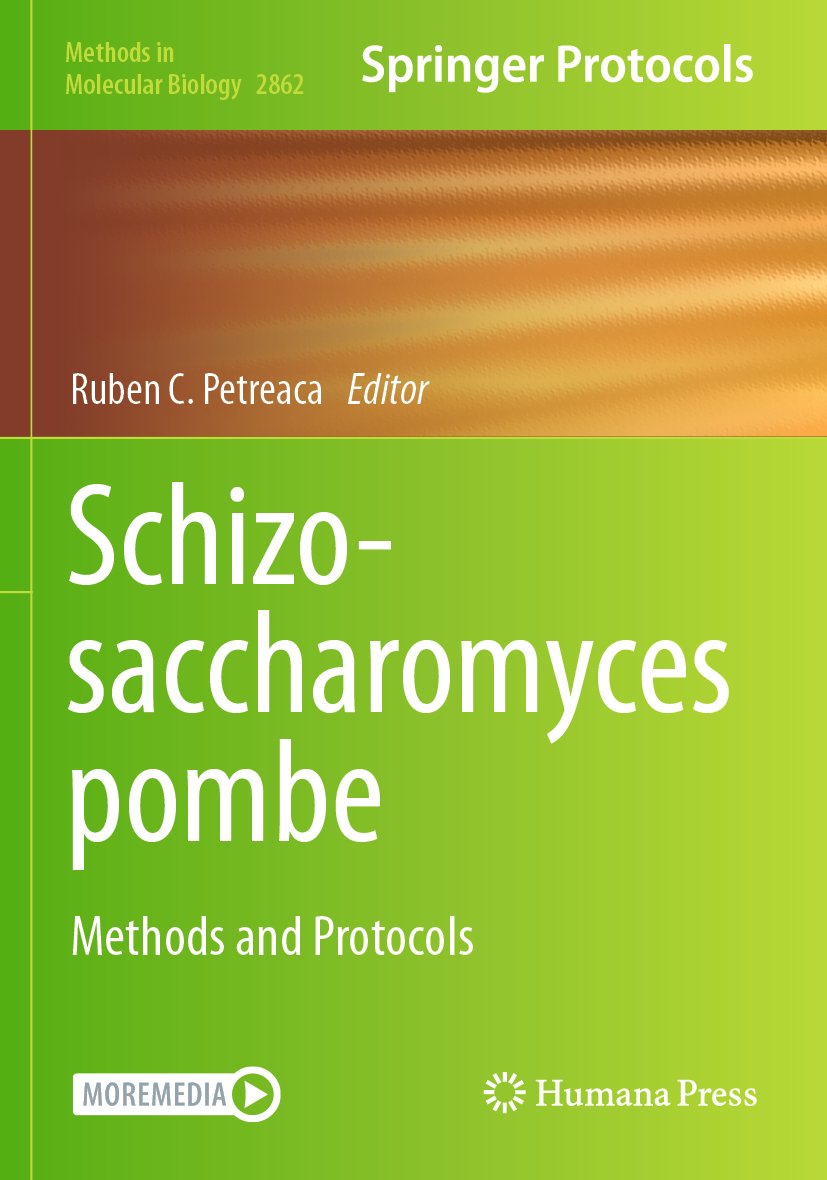 Schizosaccharomyces pombe