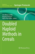 Doubled Haploid Methods in Cereals