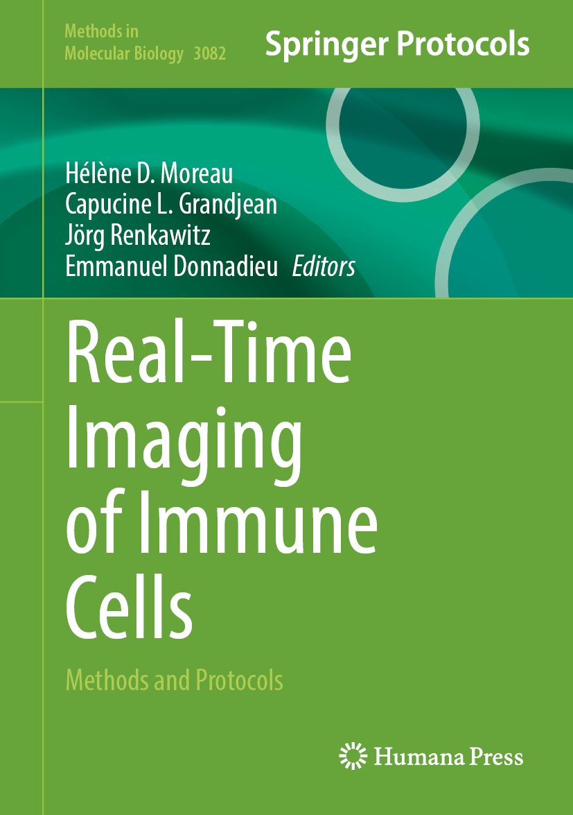 Real-Time Imaging of Immune Cells