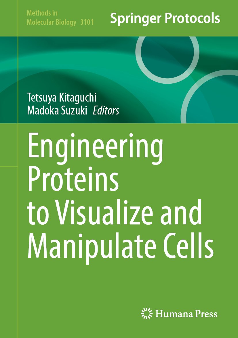 Engineering Proteins to Visualize and Manipulate Cells