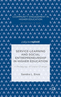 Service-Learning and Social Entrepreneurship in Higher Education