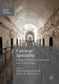 Palgrave Studies in Prisons and Penology