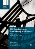 Palgrave Studies in Prisons and Penology