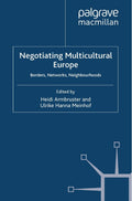 Palgrave Politics of Identity and Citizenship Series
