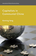 International Political Economy Series