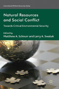International Political Economy Series