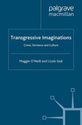 Critical Criminological Perspectives