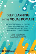Deep Learning in the Visual Domain