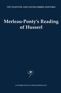 Contributions to Phenomenology