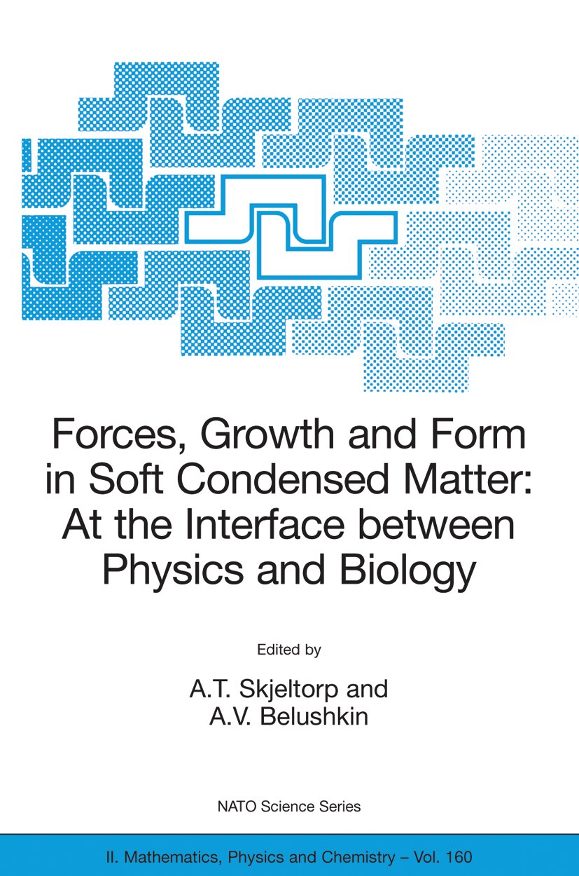 NATO Science Series II: Mathematics, Physics and Chemistry
