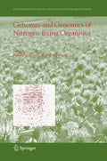 Nitrogen Fixation: Origins, Applications, and Research Progress