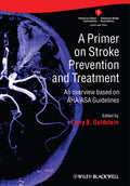 A Primer on Stroke Prevention and Treatment