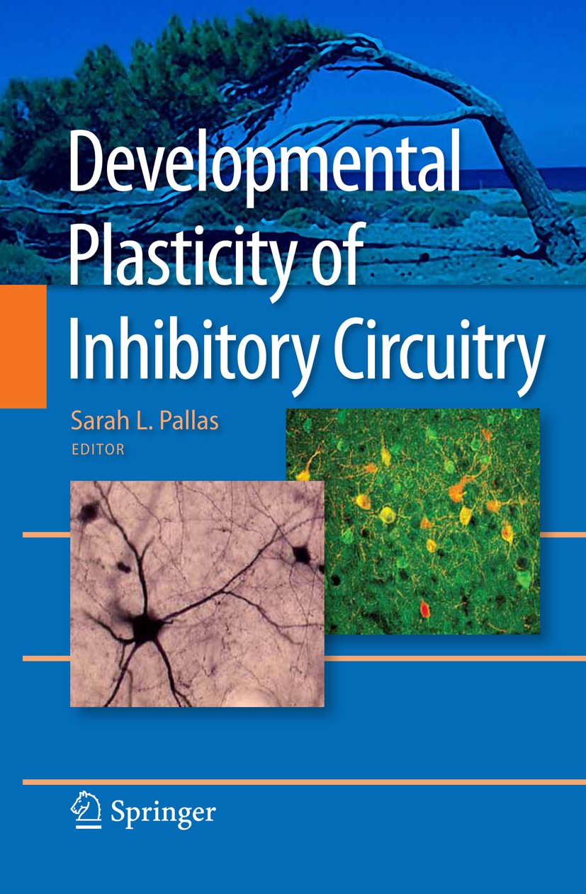 Developmental Plasticity of Inhibitory Circuitry