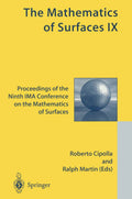 The Mathematics of Surfaces IX