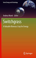 Green Energy and Technology