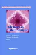 Advances in Gabor Analysis