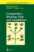 Springer Handbook of Auditory Research