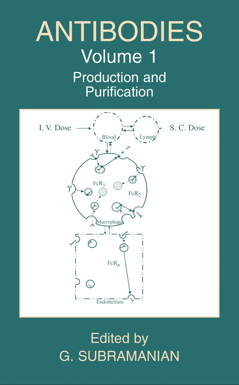 Antibodies