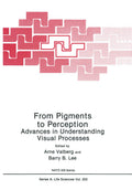 NATO Science Series A:: Advances in Understanding Visual Processes