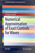 SpringerBriefs in Mathematics