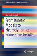 SpringerBriefs in Mathematics
