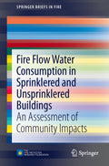 SpringerBriefs in Fire