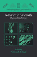 Nanostructure Science and Technology