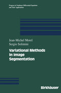 Progress in Nonlinear Differential Equations and Their Applications