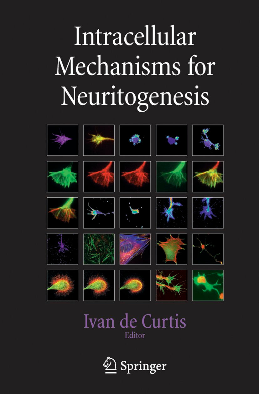 Intracellular Mechanisms for Neuritogenesis