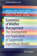 SpringerBriefs in Fire