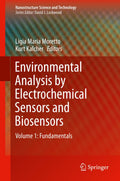 Nanostructure Science and Technology
