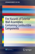 SpringerBriefs in Fire