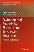 Nanostructure Science and Technology
