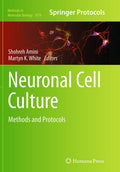 Neuronal Cell Culture