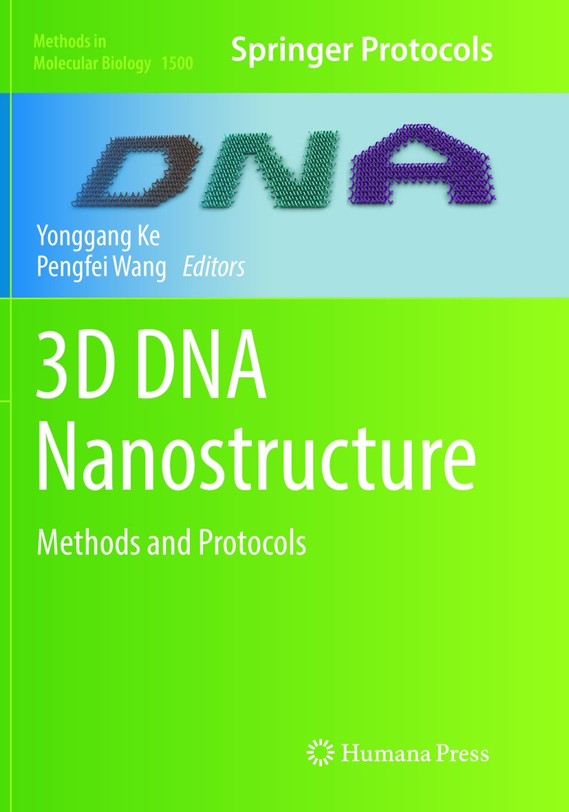 3D DNA Nanostructure