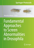 Springer Protocols Handbooks