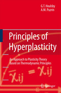 Principles of Hyperplasticity
