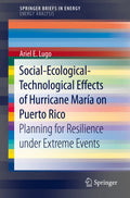 SpringerBriefs in Energy