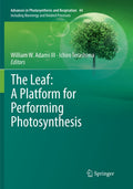 Advances in Photosynthesis and Respiration